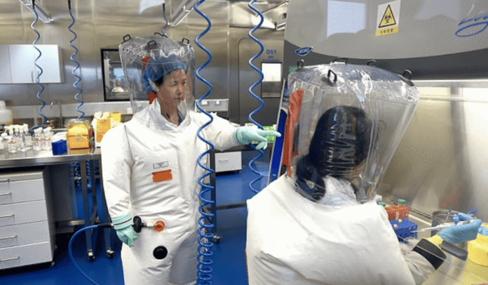 COVID-19 - The Wuhan Institute of Virology published a report on a new coronavirus discovery following the controversy around the lab during the Covid-19 pandemic