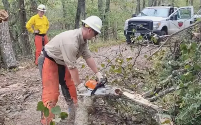 Agents awarded for role in Virginia’s Hurricane Helene recovery (Photo: WDBJ7/YouTube)