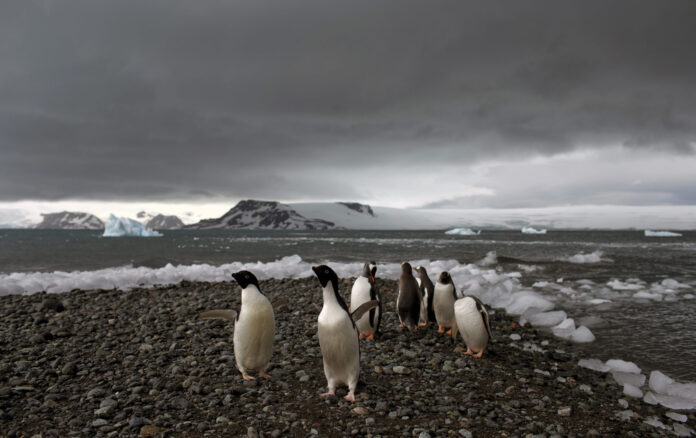 Antarctic scientist snaps.