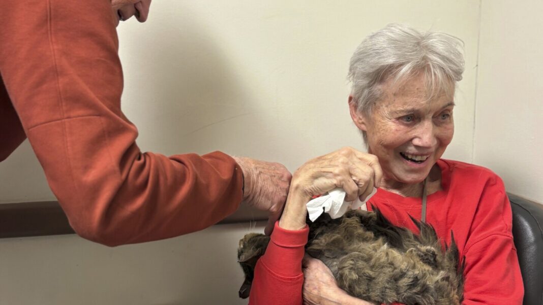Cat reunion after wildfire brings hope to family that lost everything