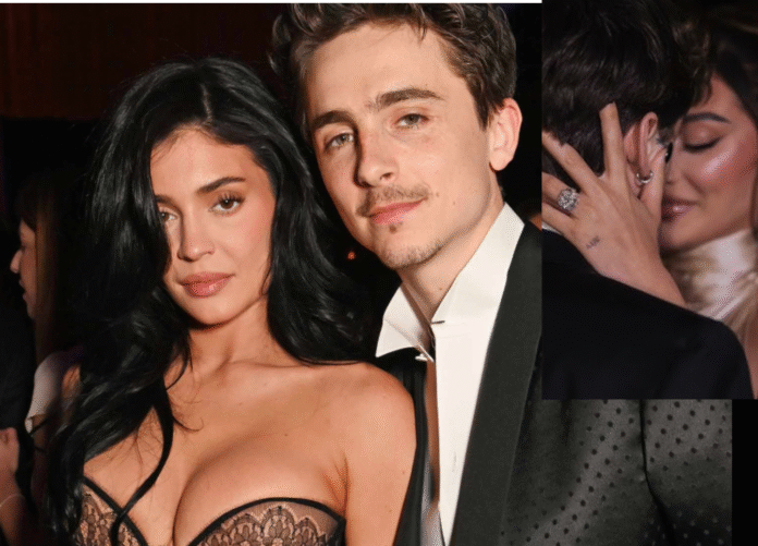 Timothee Chalamet to Propose