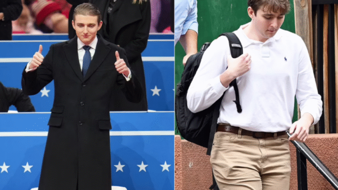 Barron Trump's haircut