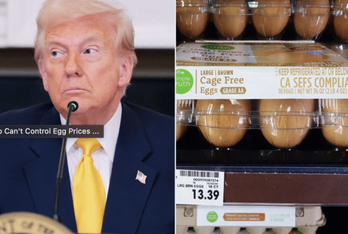 Eggs: Empty Shelves