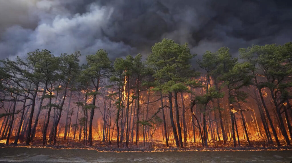 Wildfire New Jersey