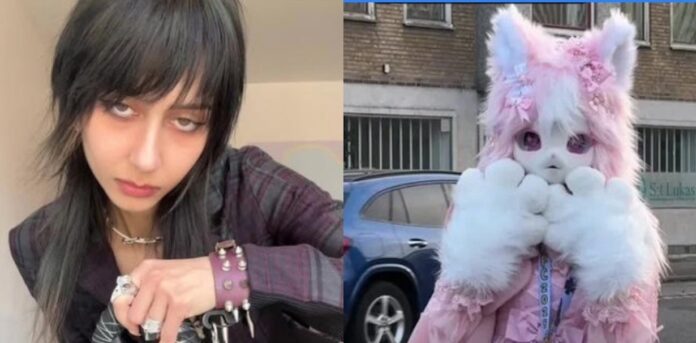 I Am a Furry