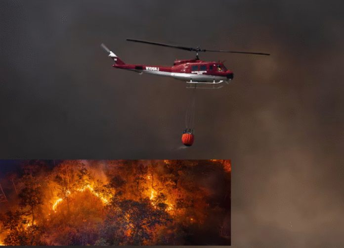 New Jersey Wildfire Evacuation