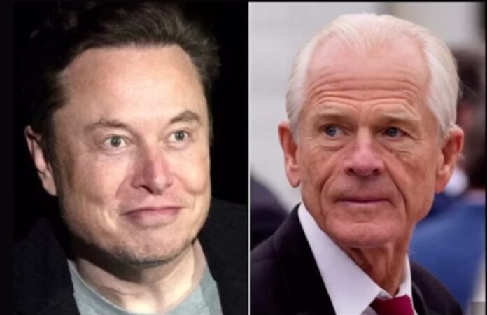 Musk Slams Navarro