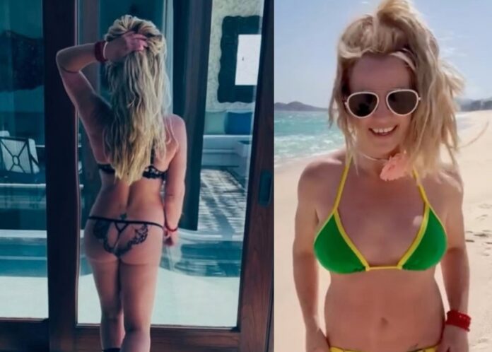 Britney Spears Exposes Her Butt