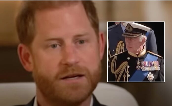 Harry's Shocking Interview: A Broken Man's Desperate Call for Help